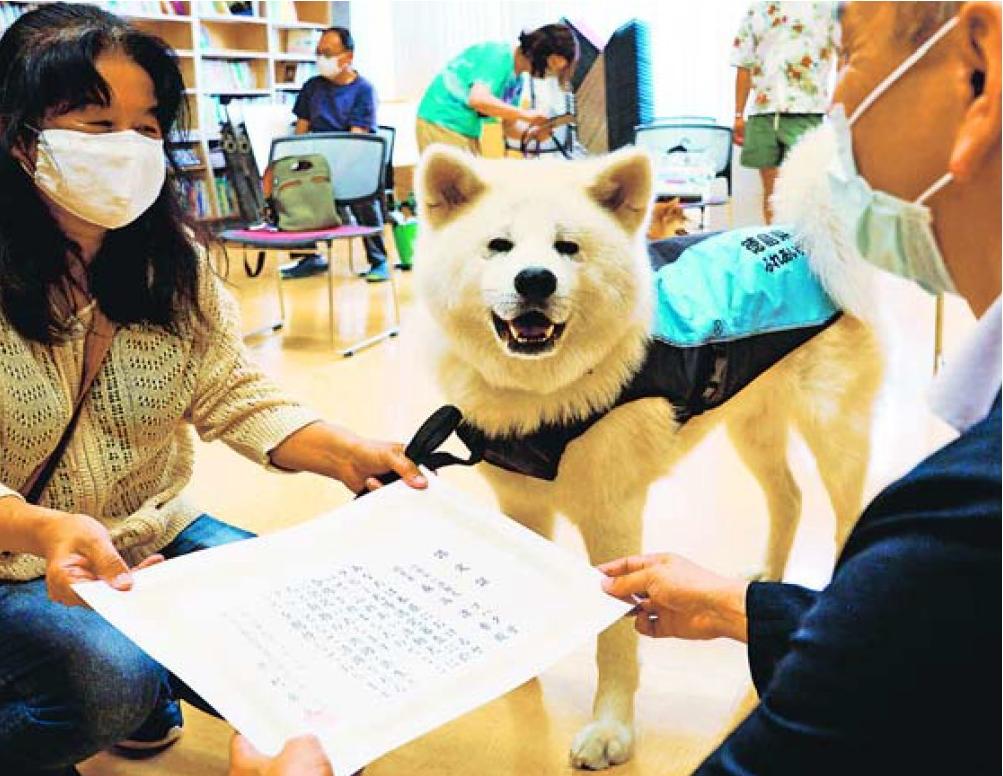 ｢ふれあい活動犬｣を新たに8匹認定　県動物愛護管理センター