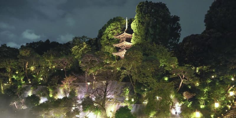 都心の庭園で“雲海”を体験　ホテル椿山荘東京が企画