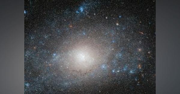 銀河の重さは見かけによらない。暗黒物質の比率が大きなおおぐま座の渦巻銀河