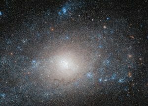 銀河の重さは見かけによらない。暗黒物質の比率が大きなおおぐま座の渦巻銀河