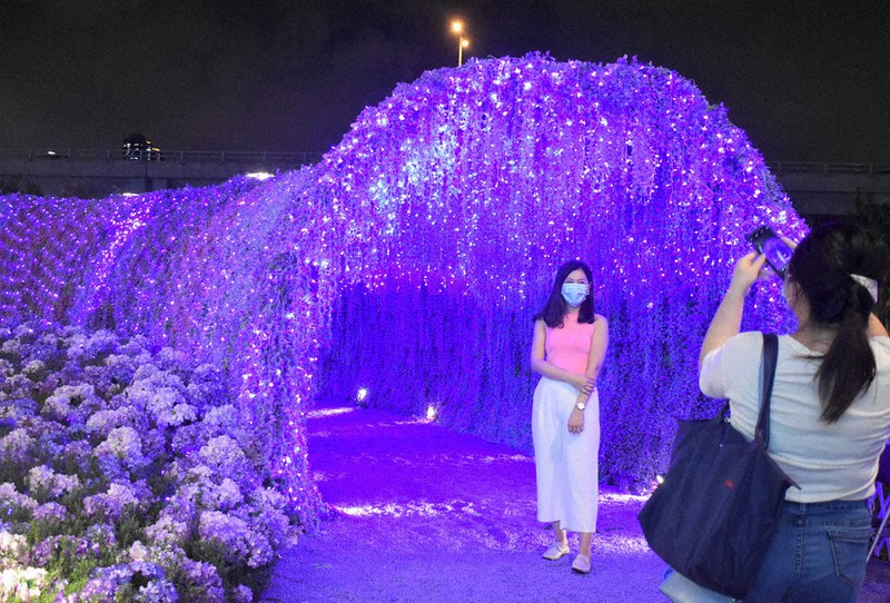 「日本ロス」に癒やし　香港に「フジのトンネル」　福岡の人気藤園をモチーフに