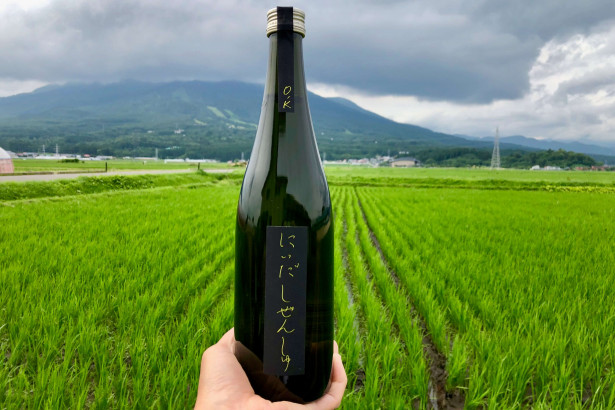 唯一無二の味、「木桶」が醸す日本酒の秘密