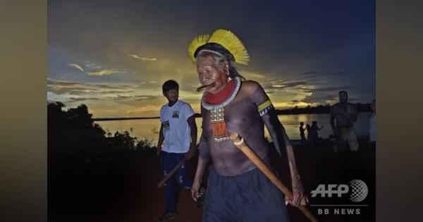 アマゾン火災、ブラジル大統領の発言は「うそ」 先住民長老が反論