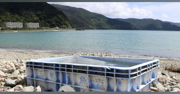 石巻から奄美に魚容器が漂着　漁協再利用、関係者「喜ばしい」