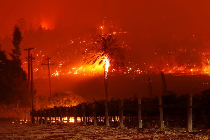 米加州の山火事、北部で3人死亡　ワイン産地ナパバレーでも拡大
