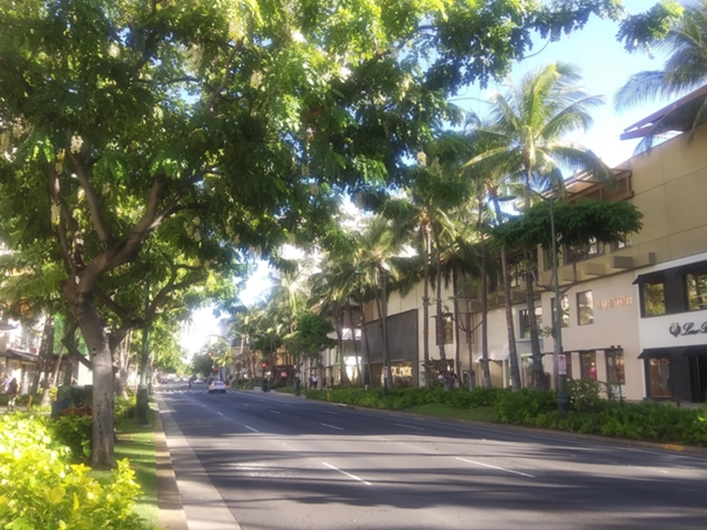ハワイが４段階の経済再開計画公表、観光客受け入れも再開 - 相馬佳 （ハワイ在住ライター） - WEDGE Infinity