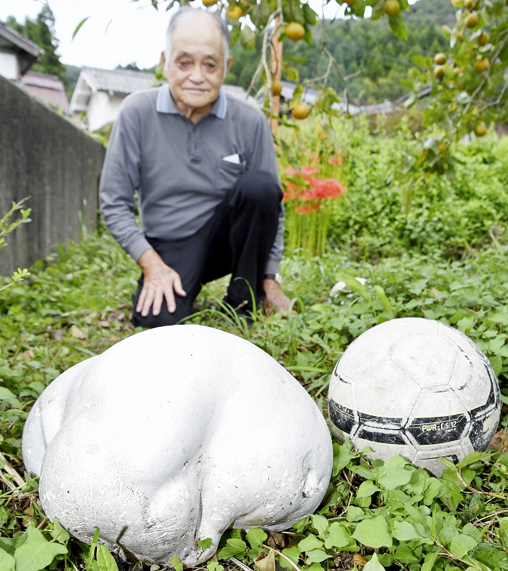 民家の庭に出現した巨大な白キノコ
