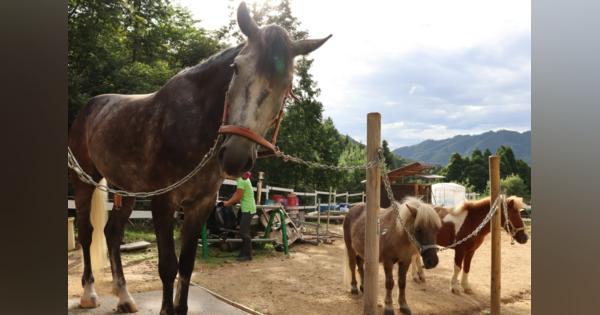 馬やポニーにまたがり山道散策楽しんで　京都・宮津に乗馬体験施設オープン