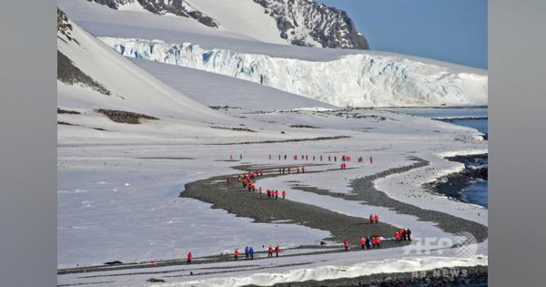 南極半島の今年の平均最高気温、過去30年間で最高 研究