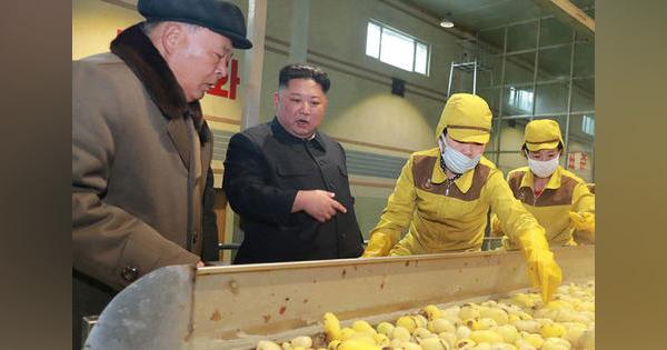 北朝鮮「国家財産」盗まれ大問題......コロナ禍で食い詰め深刻