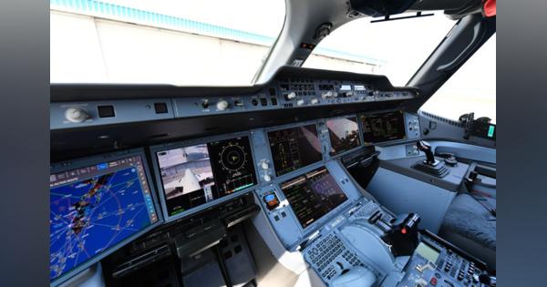 JAL、パイロットのインターン募集　オンライン開催