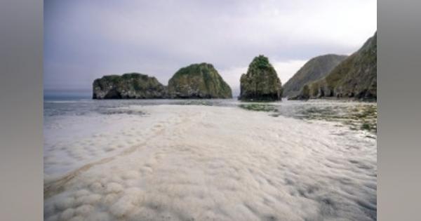 カムチャツカ海洋汚染、大規模な油膜形成　千島列島に向かって南へ：時事ドットコム