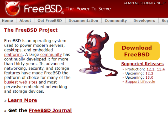 FreeBSD の IPv6 ソケットにおける競合状態と Use-After-Free の脆弱性（Scan Tech Report）