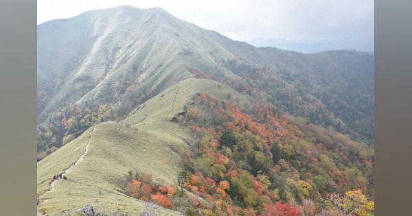 赤や黄色に染まる山肌　徳島・剣山で紅葉見ごろ　例年より色づき強く