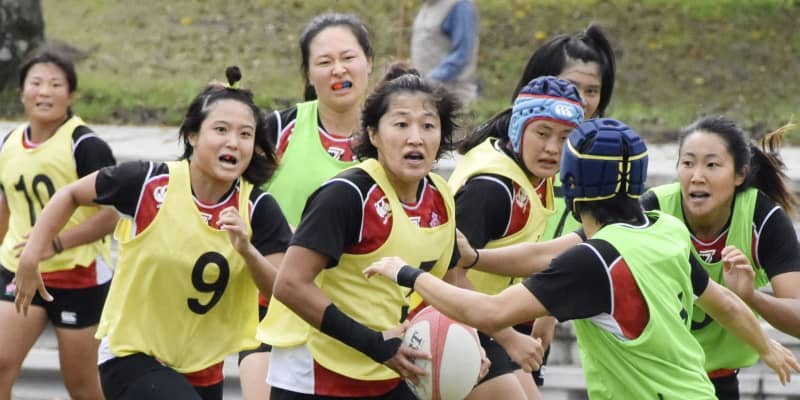 ラグビー7人制女子、練習を公開　日本代表候補が合宿
