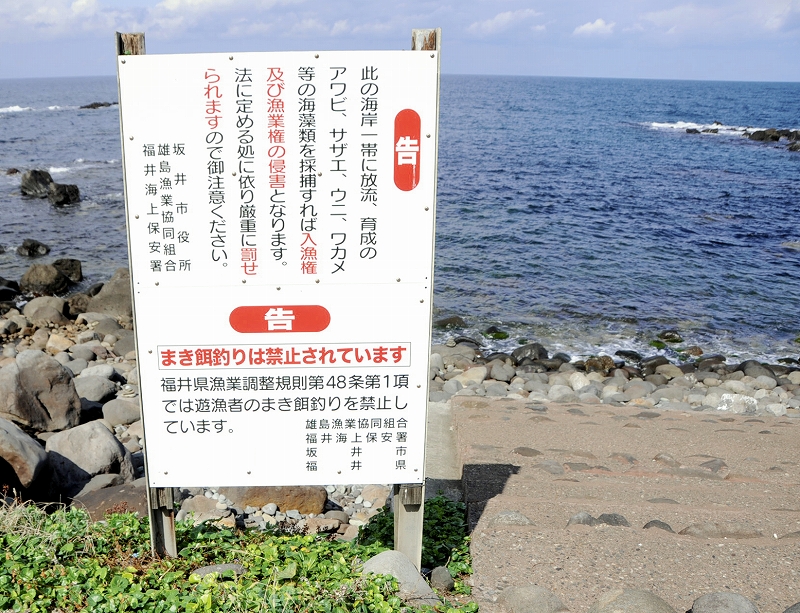 まき餌釣り、実は福井や東京で禁止