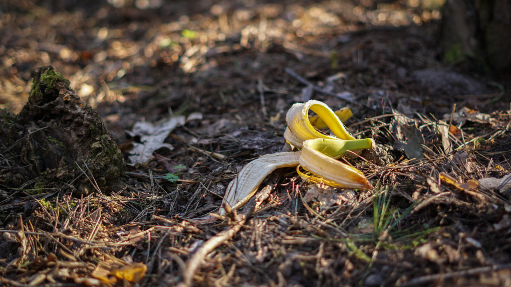 なぜ40代の会社員女性は落ちているバナナの皮を自宅に持ち帰ったのか - ｢放置したら自分が責められるかも｣