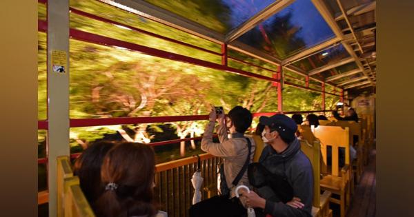 ライトアップされた木々の中を走るトロッコ列車　嵯峨野観光鉄道の臨時列車が運行開始