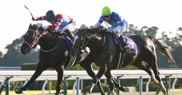 15枚限定 三冠達成レース コントレイル レインボーカード 菊花賞 競馬 菊花賞2020結果】コントレイルが菊花賞を制し史上初父子無敗での