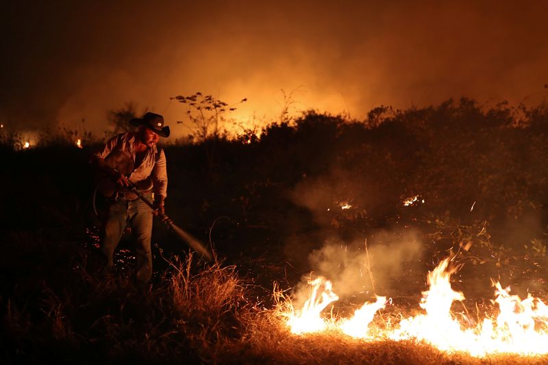 アマゾン森林火災、10月は大幅増
