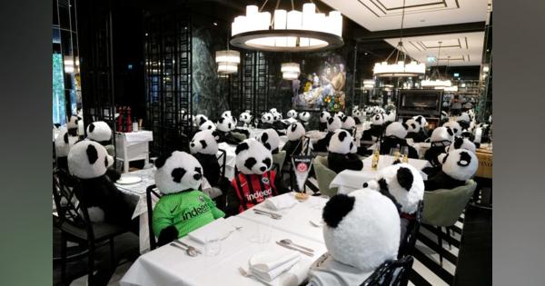 パンデミックにはパンダで、独レストランがコロナ規制に抗議