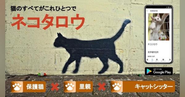 「保護猫×里親×キャットシッター」を繋ぐマッチング・プラットフォームがリリース