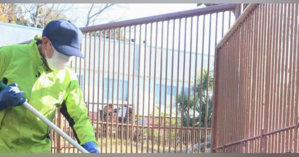 ワニたちの背中もごしごし　静岡・東伊豆町、新年へ大掃除