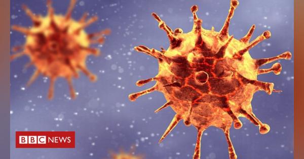 South Africa coronavirus variant: What is the risk?