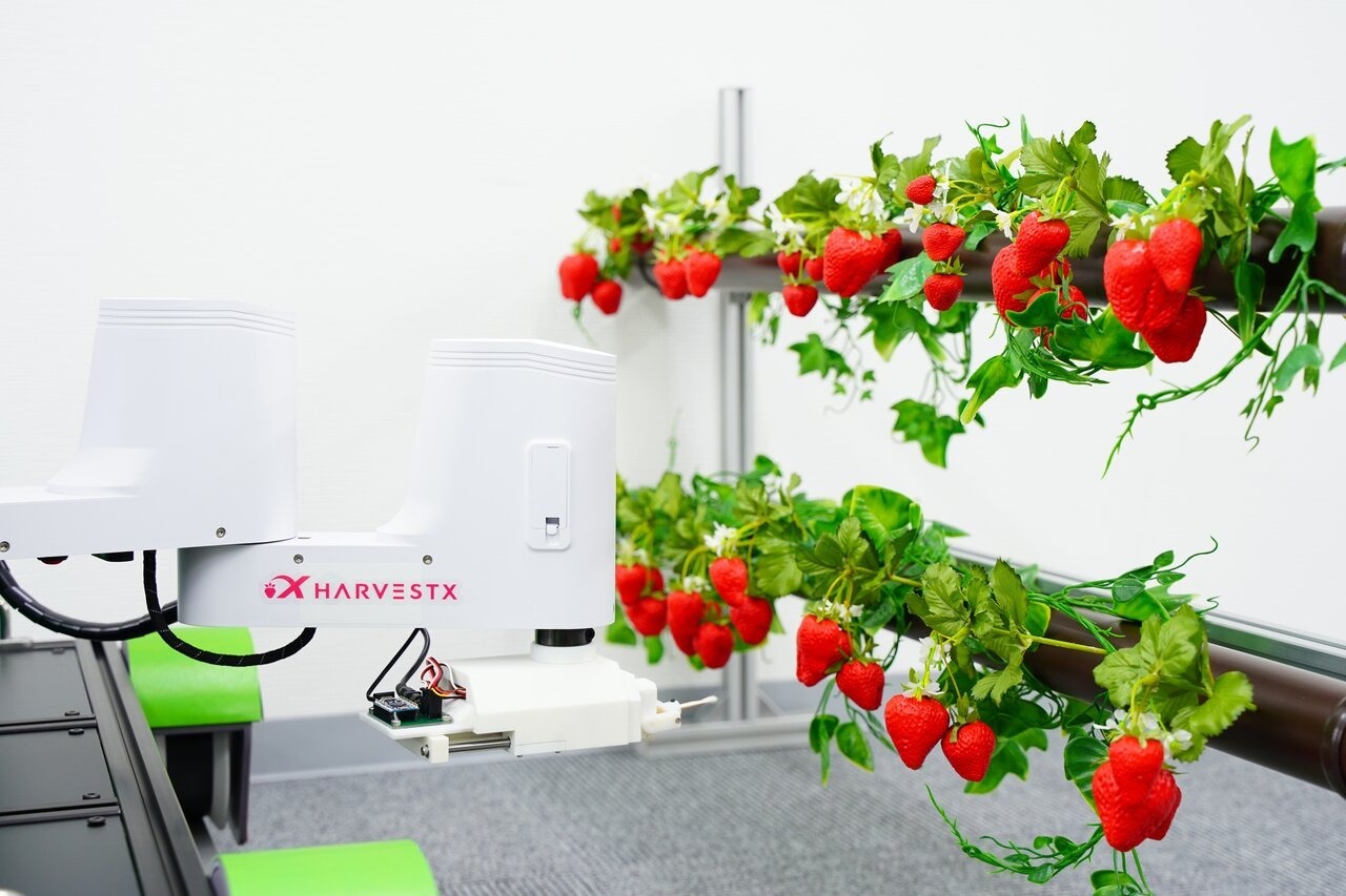 ロボットによるイチゴの完全自動栽培の実現を目指すHarvestXが資金調達を実施