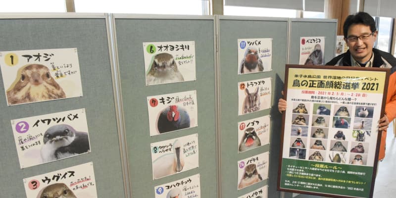 野鳥の「正面顔総選挙」、鳥取　米子水鳥公園、来園者が投票