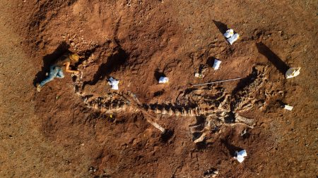 恐竜の宝庫 ニジェール 2億年前の化石に宿るロマンと闇 サハラ砂漠に眠る骨にかける夢