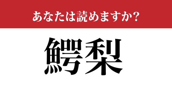 漢字クイズ 鰐梨 は あの 緑の果物 の別名です いったい何でしょうか