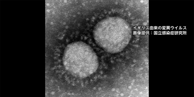 【速報】変異ウイルス 大阪で50人感染　大阪府内で計62人に