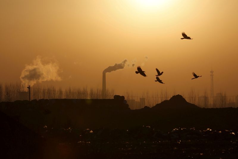 中国人民銀当局者、産業の脱炭素化に伴うシステミックリスク指摘