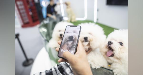 中国で活発化するペット保険市場、鼻紋識別など新技術も後押し