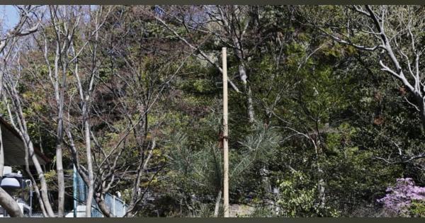 奇跡の一本松、後継樹が名古屋に　岩手・陸前高田から寄贈