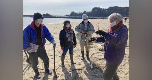 防潮堤を砂丘化、生態系守れ　東北沿岸、道内の専門家提案　理想は石狩浜：北海道新聞 どうしん電子版