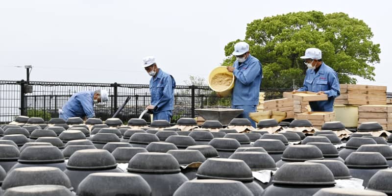 伝統の黒酢仕込み始まる、鹿児島　つぼで発酵・熟成