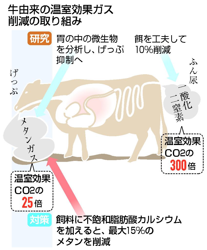温暖化対策、牛のげっぷ抑制へ　胃の微生物や餌を研究―農水省：時事ドットコム