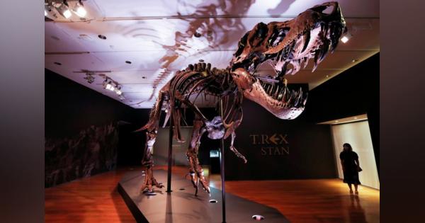 肉食恐竜Ｔレックス、絶滅までの総数は25億頭＝米研究
