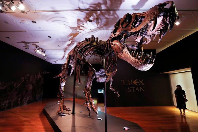 肉食恐竜Ｔレックス、絶滅までの総数は25億頭＝米研究