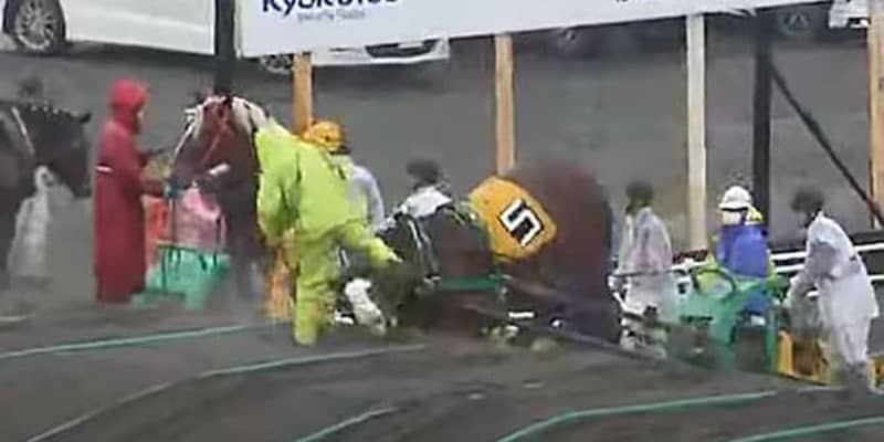 厩務員も競走馬の顔蹴る　北海道のばんえい競馬