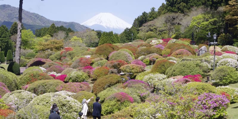 箱根で色鮮やかなツツジを堪能　芦ノ湖畔「山のホテル」庭園