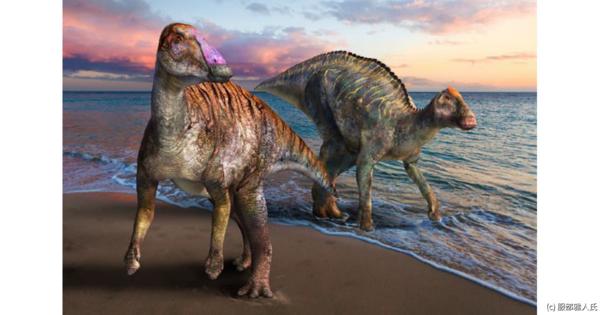 北大など、淡路島で発見された新種の恐竜化石を「ヤマトサウルス」と命名