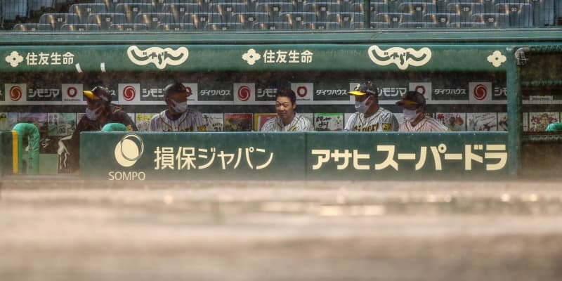 プロ野球、降雨でノーゲーム　阪神―広島