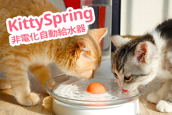 電力を使わず重力で給水 ヒゲも濡れない すべての猫が愛用する自動給水器 Kittyspring