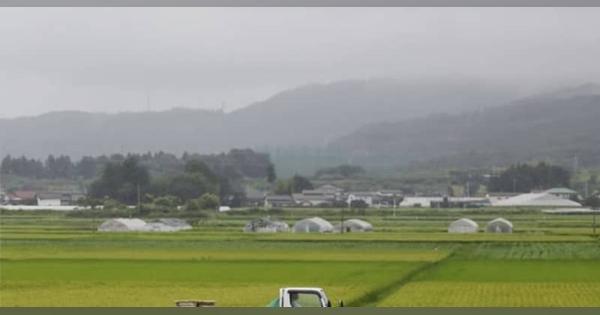 38都道府県がコメ生産減少　コロナで需要落ち込み
