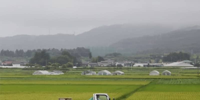 38都道府県がコメ生産減少　コロナで需要落ち込み