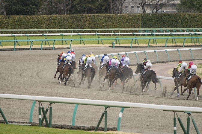 金沢競馬 げぼかわドラゴン生誕記念 が話題に レース名の由来は