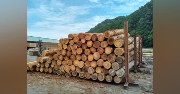 輸入木材高騰「ウッドショック」　国産も不足、住宅・家具に波及